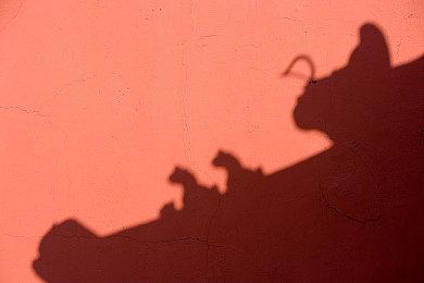 好评如潮《吸血鬼幸存者》1.0正式版10月20日推出 正式支持简中